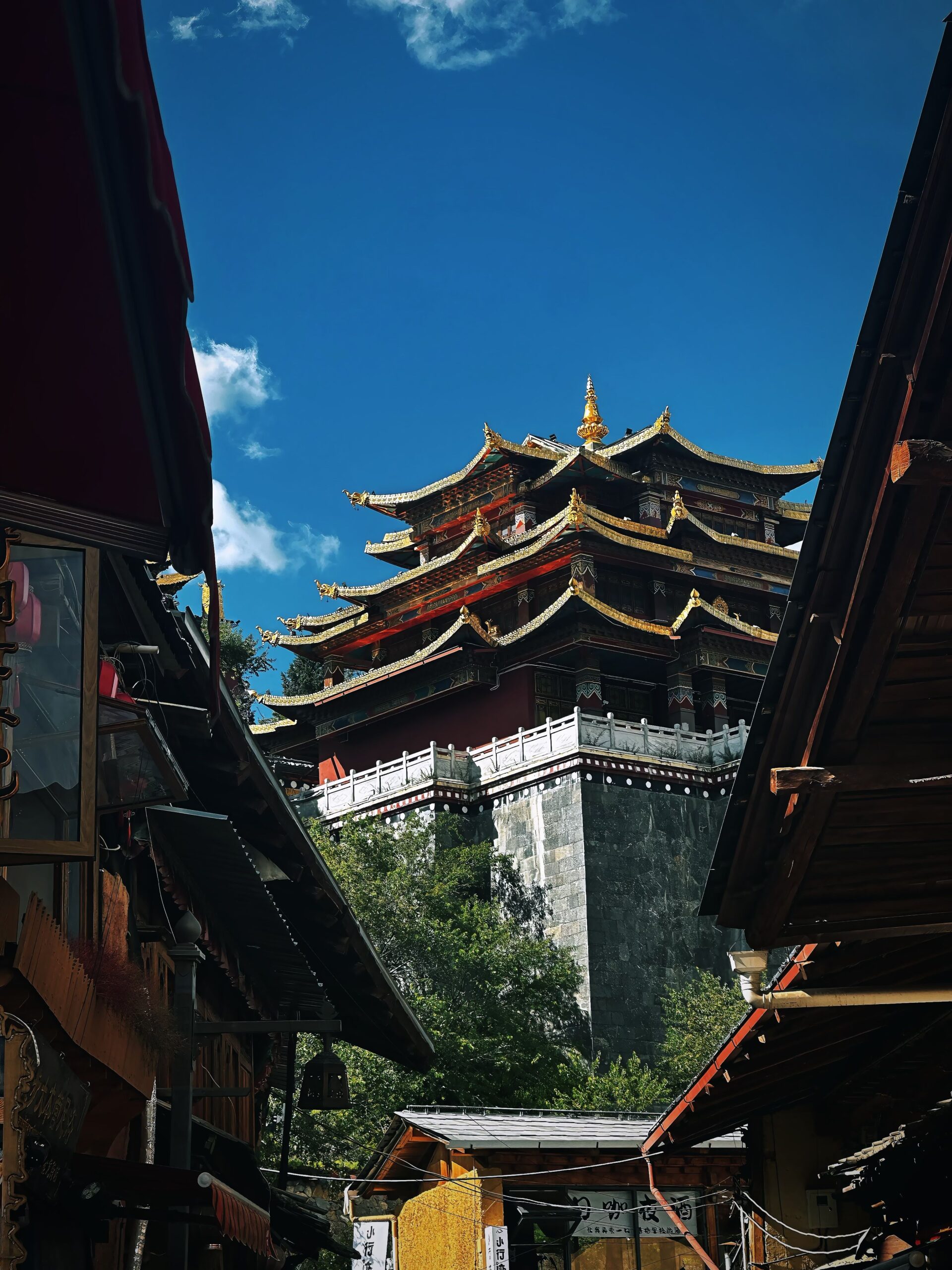 pexels-jayson-liu-1051234628-37630682